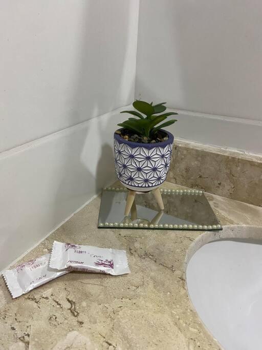 Flat Elegante E Bem Localizado Lejlighed Feira de Santana Eksteriør billede